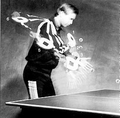 Backhand Right Side/Topspin Serve