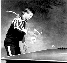 Backhand Topspin Serve(Crosscourt)